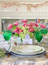 Load image into Gallery viewer, Francophile Acrylic Swizzle Sticks, Drink Stir