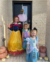 Load image into Gallery viewer, pink watercolor pumpkin door hanger